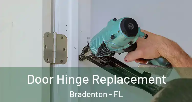  Door Hinge Replacement Bradenton - FL