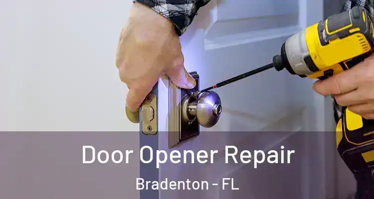  Door Opener Repair Bradenton - FL