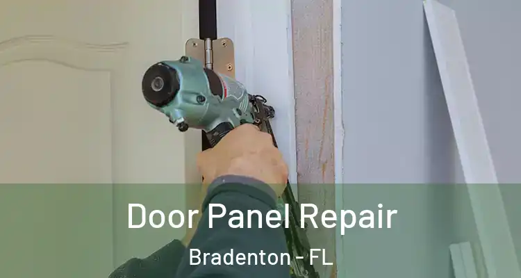  Door Panel Repair Bradenton - FL