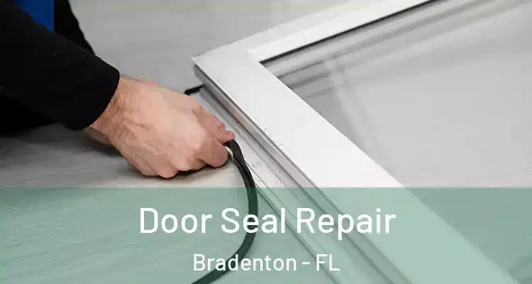  Door Seal Repair Bradenton - FL
