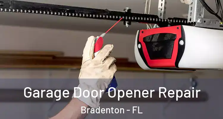  Garage Door Opener Repair Bradenton - FL