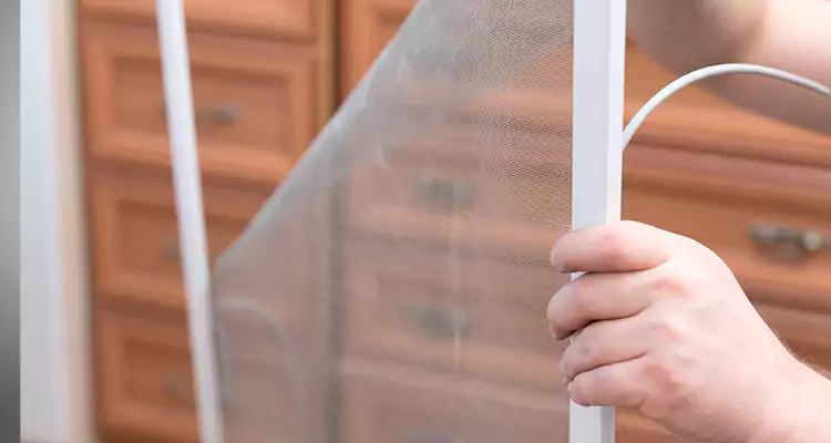 Privacy Mesh Screen Door Installation in Bradenton, FL
