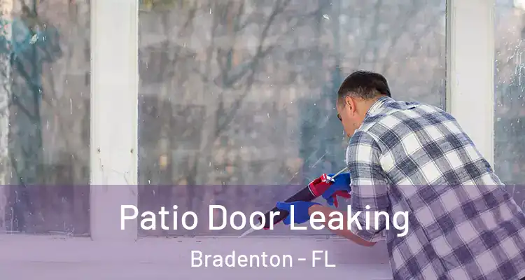  Patio Door Leaking Bradenton - FL