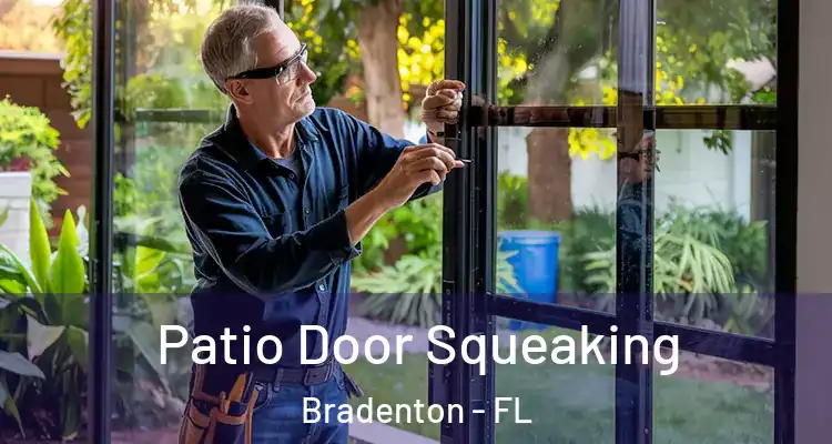  Patio Door Squeaking Bradenton - FL
