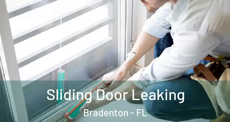  Sliding Door Leaking Bradenton - FL