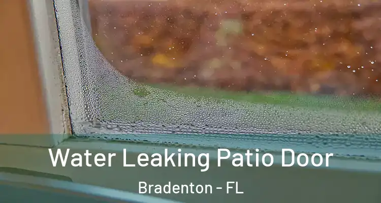  Water Leaking Patio Door Bradenton - FL